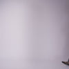 Gibsen Burgundy Velvet Ballet Flats - Dolce Vita
