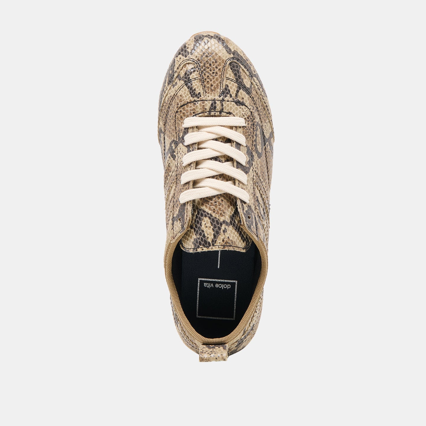 Viper Snake Print Embossed Leather Sneakers - Dolce Vita