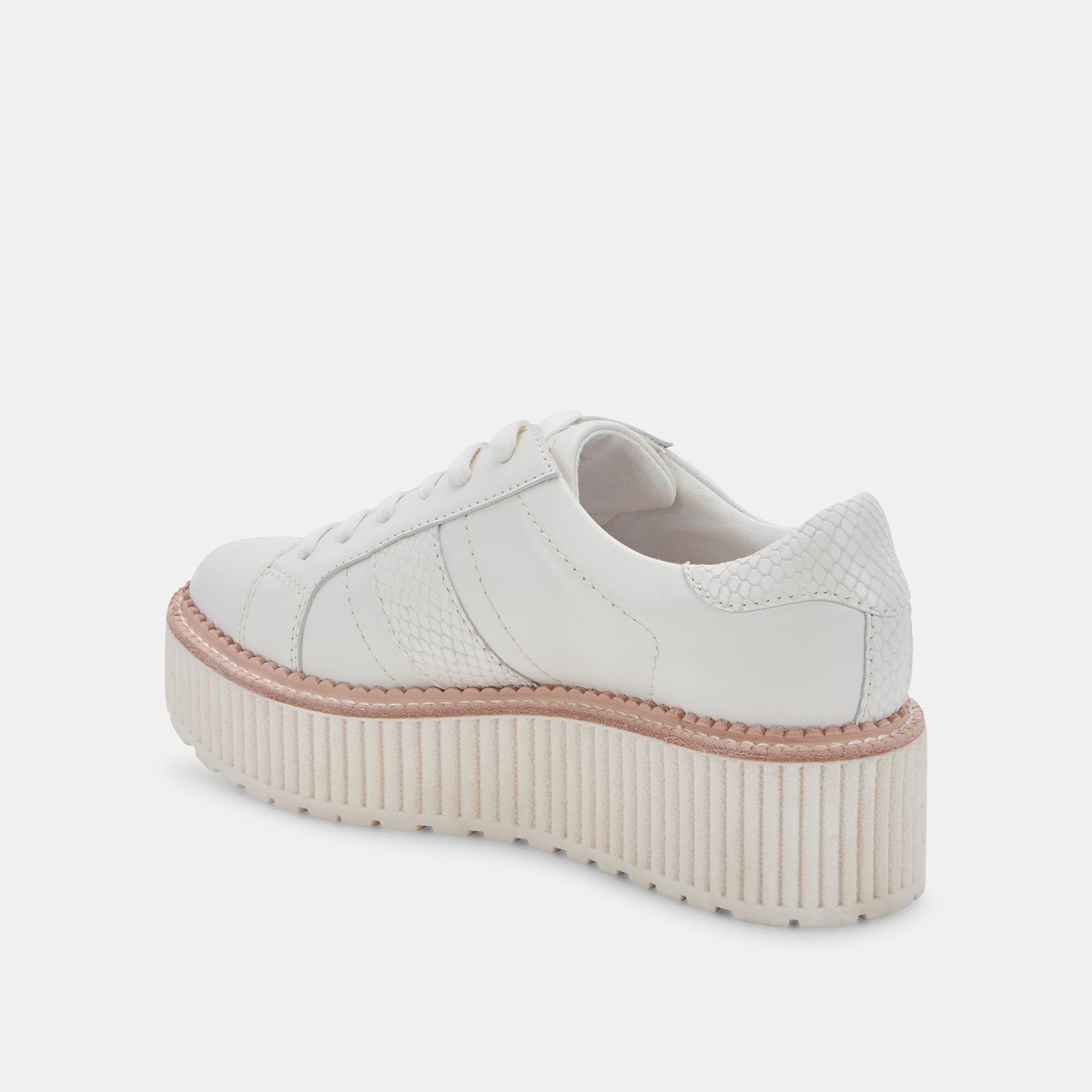TIGER SNEAKERS WHITE LEATHER - Dolce Vita