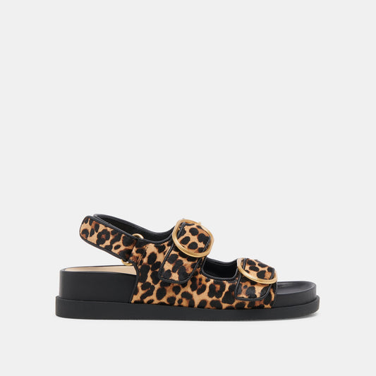STARLA SANDALS LEOPARD BLACK CALF HAIR - Dolce Vita