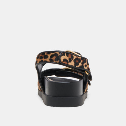 STARLA SANDALS LEOPARD BLACK CALF HAIR - Dolce Vita