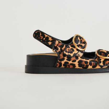 STARLA SANDALS LEOPARD BLACK CALF HAIR - Dolce Vita