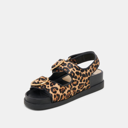 STARLA SANDALS LEOPARD BLACK CALF HAIR - Dolce Vita